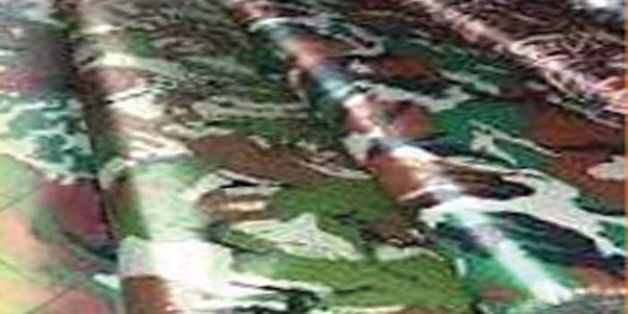 polyester_lining_fabric_coated